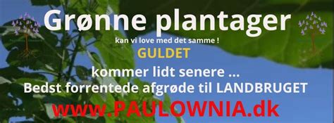 markedspladsen jylland